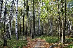 Лесопарк «Дубрава» (сентябрь 2015)