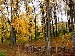 Вид на парк и главный дом усадьбы «Санс-Эннуи» от Гвардейской улицы