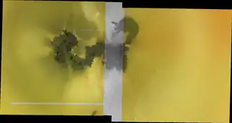 Цветная мозаика вулкана Прометей и его шлейфы от извержения, сфотографированная космическим зондом Галилео. Prometheus Patera — темная область в форме почки в правом верхнем углу; источник выбросов магмы находится в узком «перешейке» прямо под ним. От последнего западное поле потока тянется влево, при этом большая часть шлейфов SO2 извергается с окраин потока на левом конце.