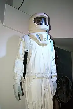 Жертва Вашты Нерады