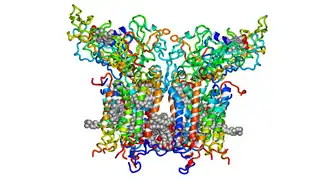 Цит. b6f с кофакторами и липидами.