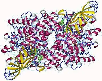 Димер ацил-КоА-дегидрогеназы жирных кислот с очень длинной цепью. Человек.