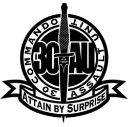 Эмблема No. 30 Commando