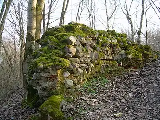 Руины Геранёнского замка