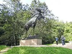 Лось в Выборге