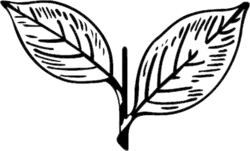 Изображение логотипа