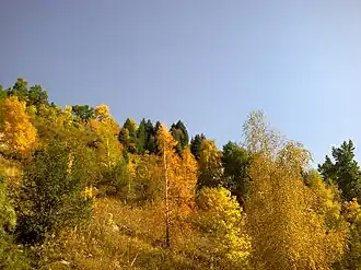 Ущелье Алма-Арасан