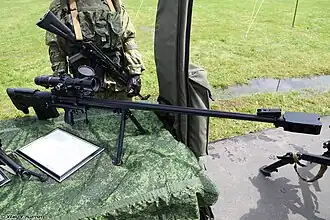 Винтовка АСВК