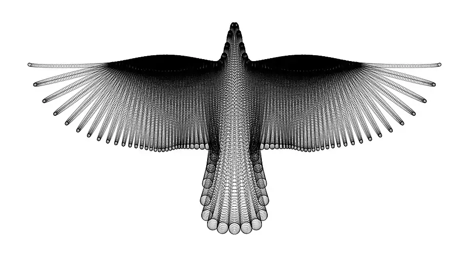«Летящая птица» Хамида Надери Йеганеха образована семейством кривых