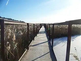 Пешеходный мостик через Куровское озеро.