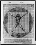 Квадратура фигуры человека. Иллюстрация из издания трактата Витрувия