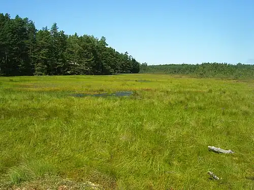 Болото Аабла