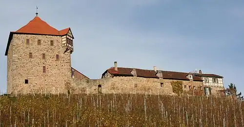 Замок со стороны виноградников