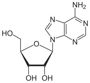 Структурная формула аденозина
