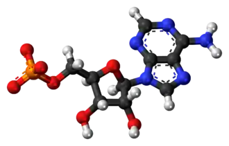 Изображение молекулярной модели