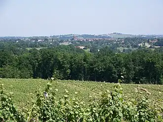 Эньян и виноградники Сен-Мон