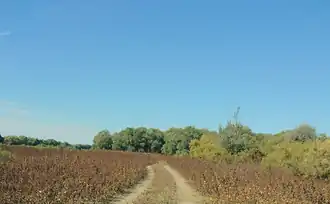 Просёлочная дорога на окраине села