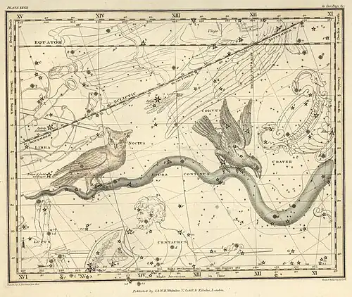 Страница №30: Сова, Ворон