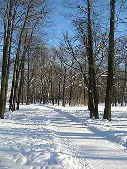 Аллея в нижней части парка (февраль 2018 г.)