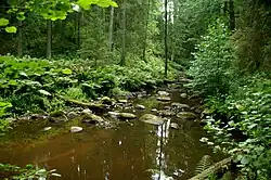 Река Алтья летом 2012 года