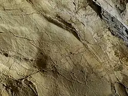 Северный олень. Гравировка на стене пещеры Альчерри, Испания