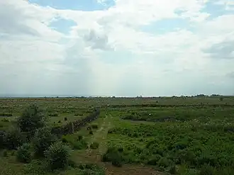 Степь в Восточном Казахстане