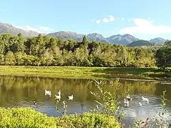 Умеренный лес в горном хребте Мерида