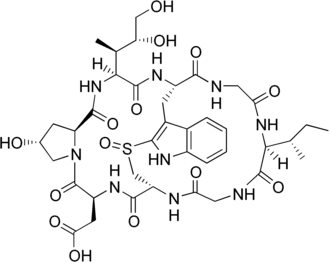 Аманин — один из представителей аматоксинов, встречается в плодовых телах грибов рода Аманита (Мухомор), Лепиота и Галерина, чрезвычайно токсичен и смертельно опасен, сильнейший гепатотоксин, вызывает лизис и некрозы клеток паренхимы печени, помимо этого он разрушает клетки кишечника и почек (вызывает острую почечную недостаточность)