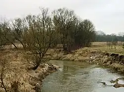 Низовье Анчи около местечка Батакяй