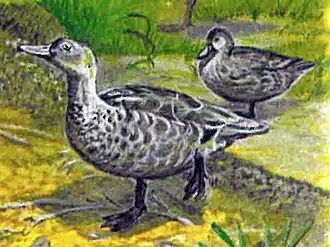 Реконструкция