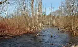 Река весной 2013 года