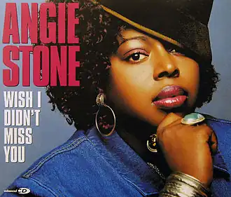 Обложка сингла Энджи Стоун «Wish I Didn’t Miss You» (2001)