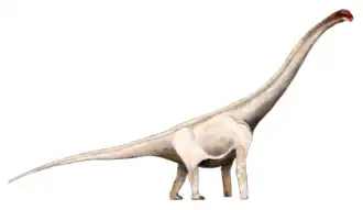 Реконструкция внешнего облика