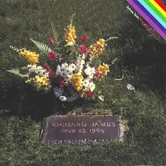 Обложка альбома Aphex Twin «» (1996)