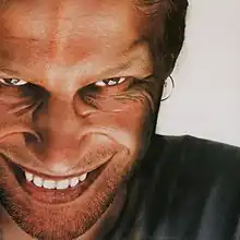 Обложка альбома Aphex Twin «Richard D. James Album» ()