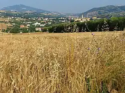 Окрестности Аппиньяно