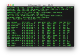 Скриншот программы Terminal