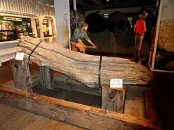 Бревно, утопившее «Арабию»