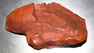 Окаменелые останки вида Arandaspis prionotolepis в Лондонском музее естествознания