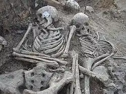 Найденные скелеты предположительно относятся к XV веку