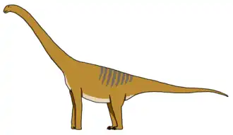 Реконструкция внешнего облика