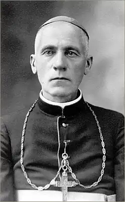 Архиепископ Теофилюс Матулёнис