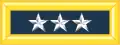 Нарукавный знак.
