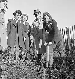 Борьба с грызунами с помощью газового насоса под наблюдением инструктора. Ферма в Сассексе