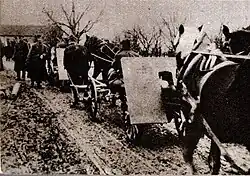 Артиллерия 12-й Славонской дивизии на марше, 1944 год