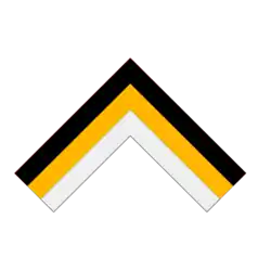 Шеврон Астраханской армии в цветах чёрно-жёлто-белого флага