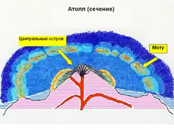 Строение атолла,схематическое изображение