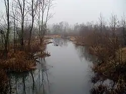 Вид на нижнее течение Аудруве с моста дороги P103 в Латвии осенью 2010 года