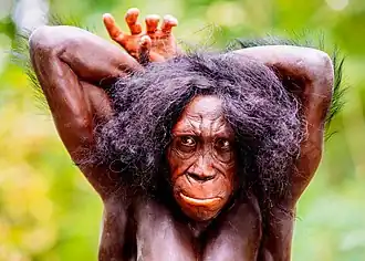 Австралопитек седиба