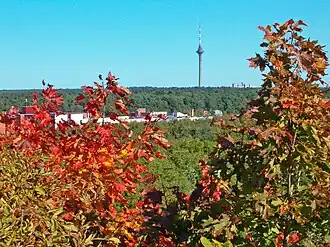 Вид на район Пирита и телебашню с глинта Ласнамяги